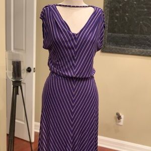 Cotton stripe dress. NWOT.